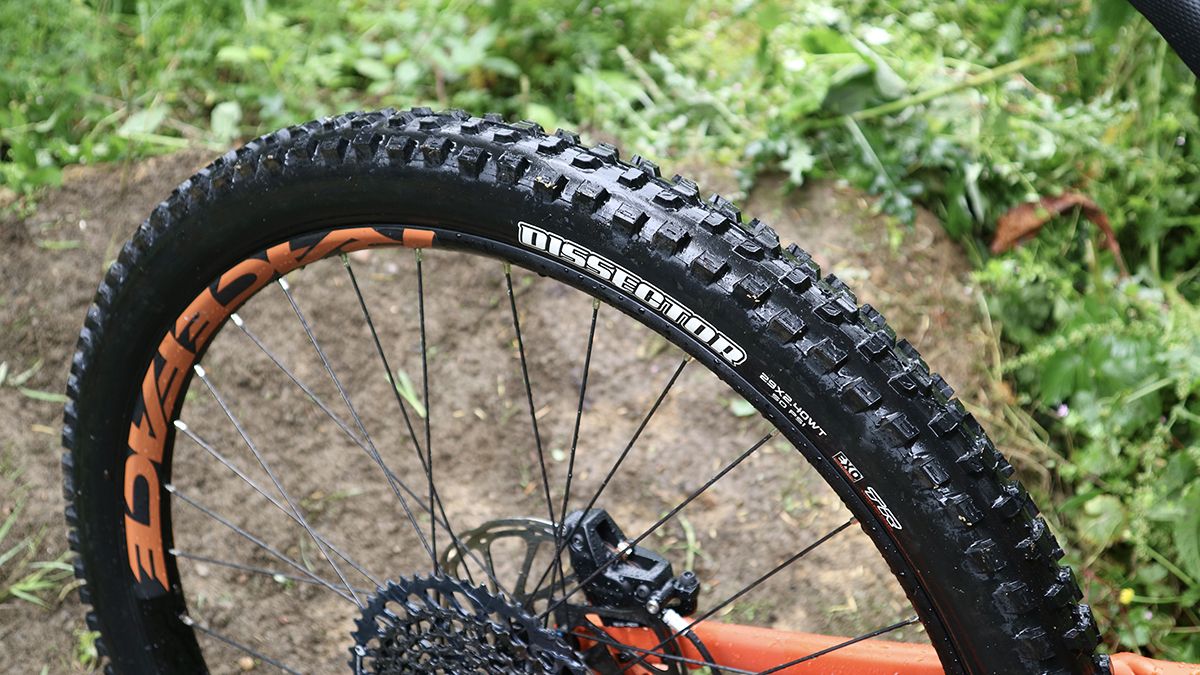 Best MTB trail tires 2023 BikePerfect