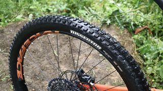 Maxxis Dissector 3C Exo+ tire on the rear of a bike