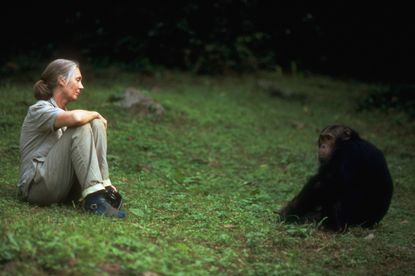 Jane Goodall continues to advocate for all species.