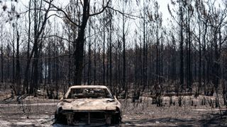 The shell of a burned out car sits in the middle of the charred remains of a forest burned by a wildfire.