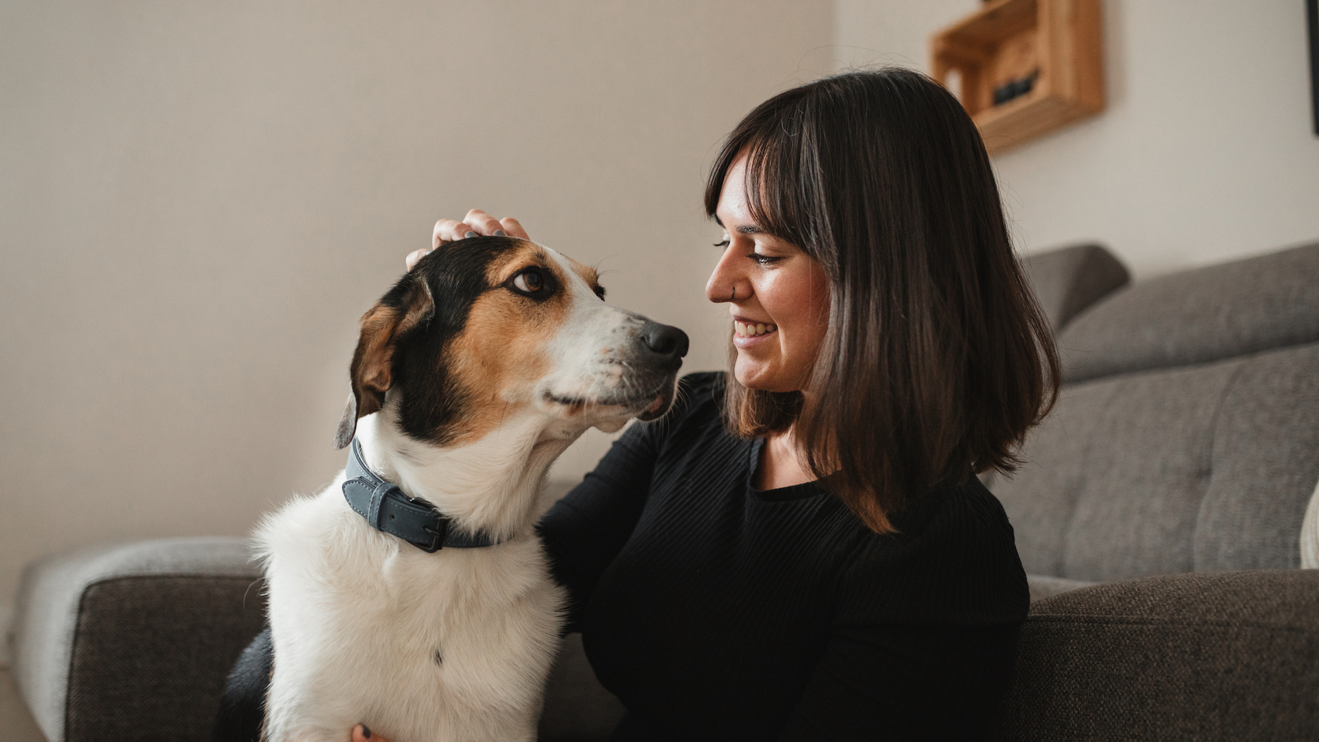 Dog looking loving