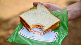 Closeup view of a once bitten pimento cheese sandwich during Thursday play at Augusta National. Augusta