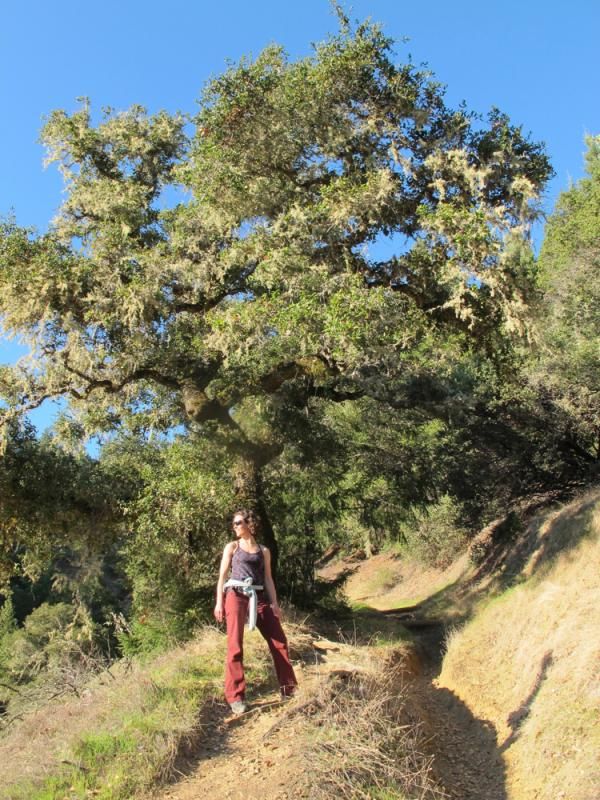 Mary McConneloug out on a power hike.
