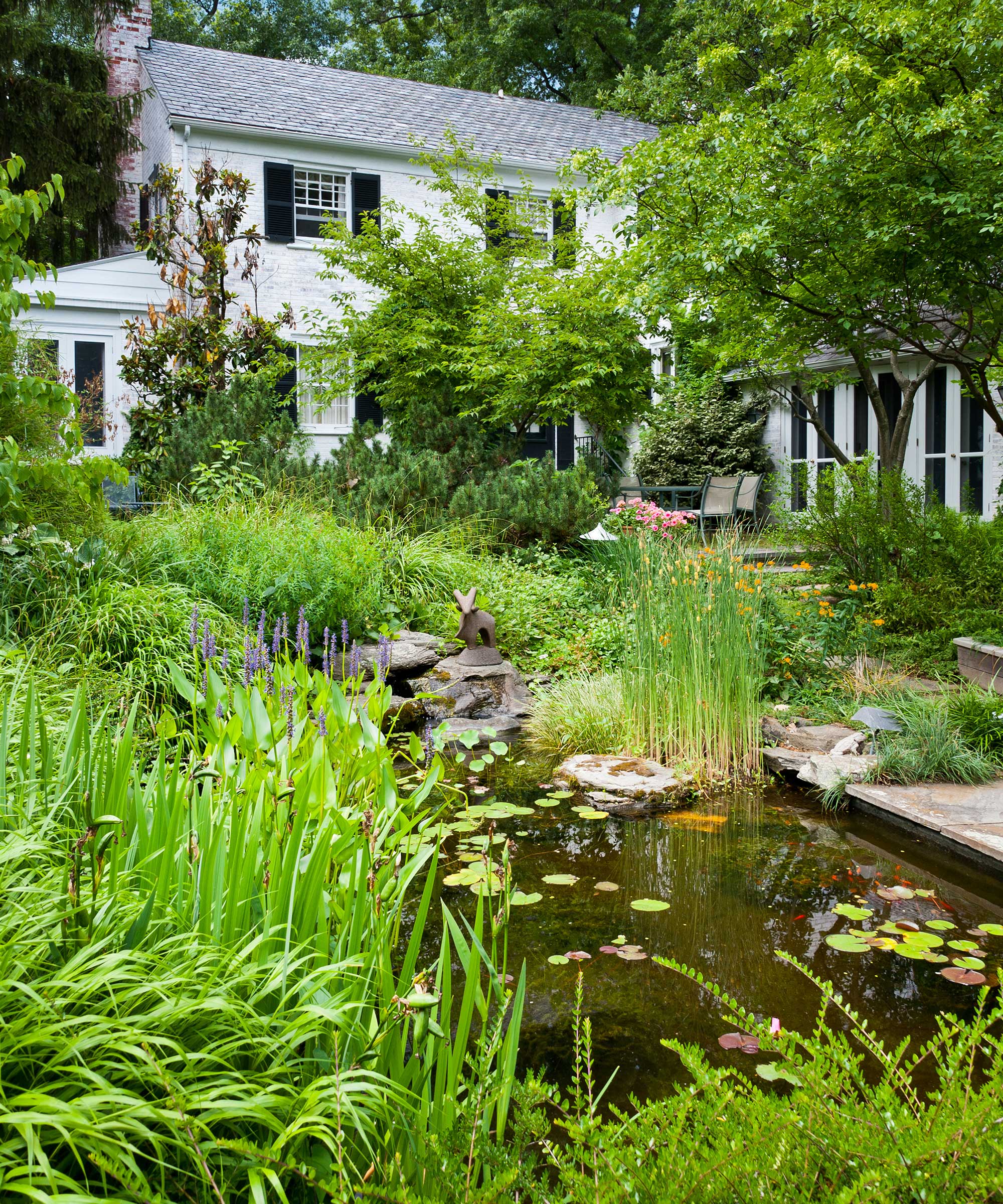 pond in backyard