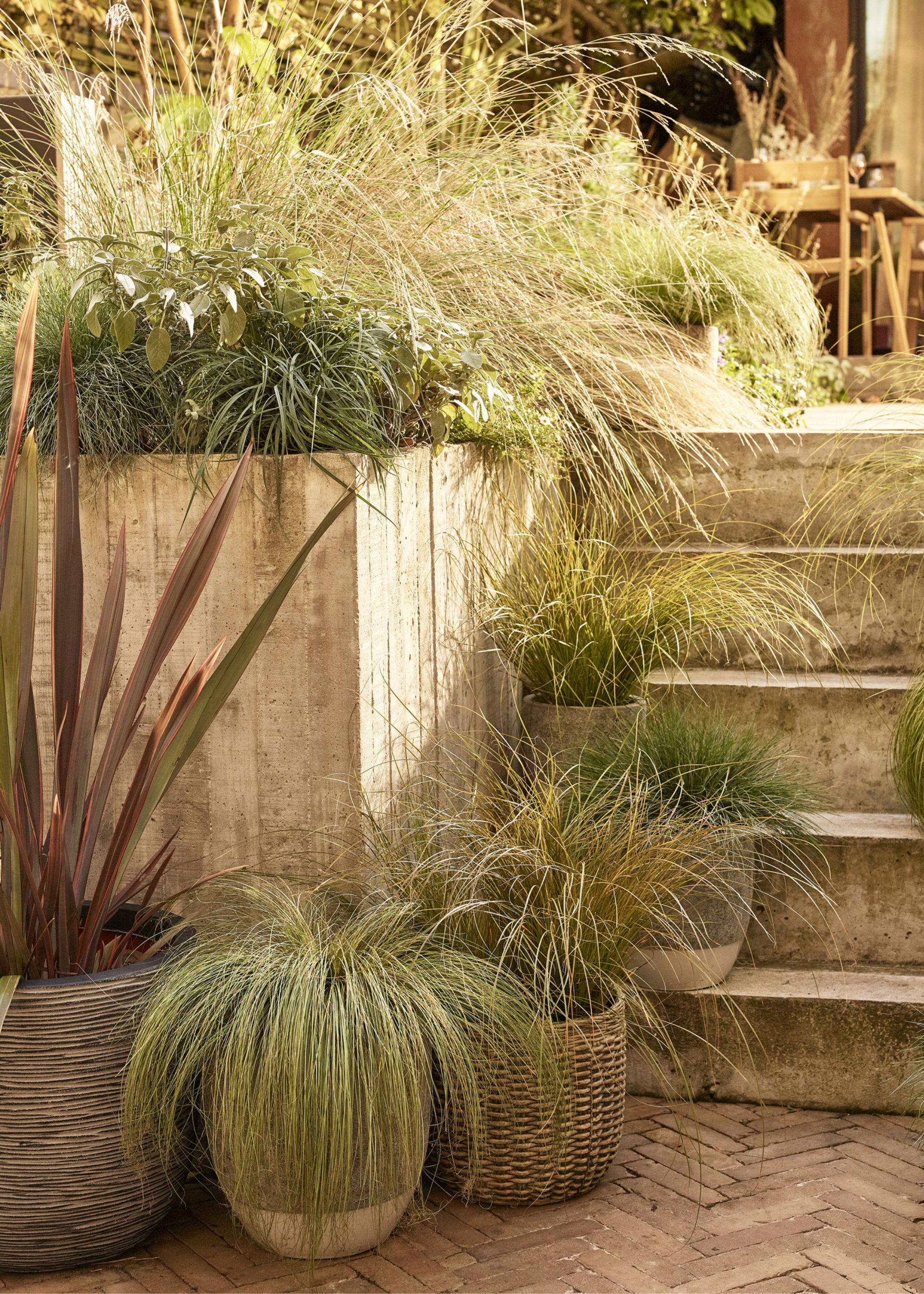 steps with pots of ornamental grasses in pots placed on different levels and steps of a garden