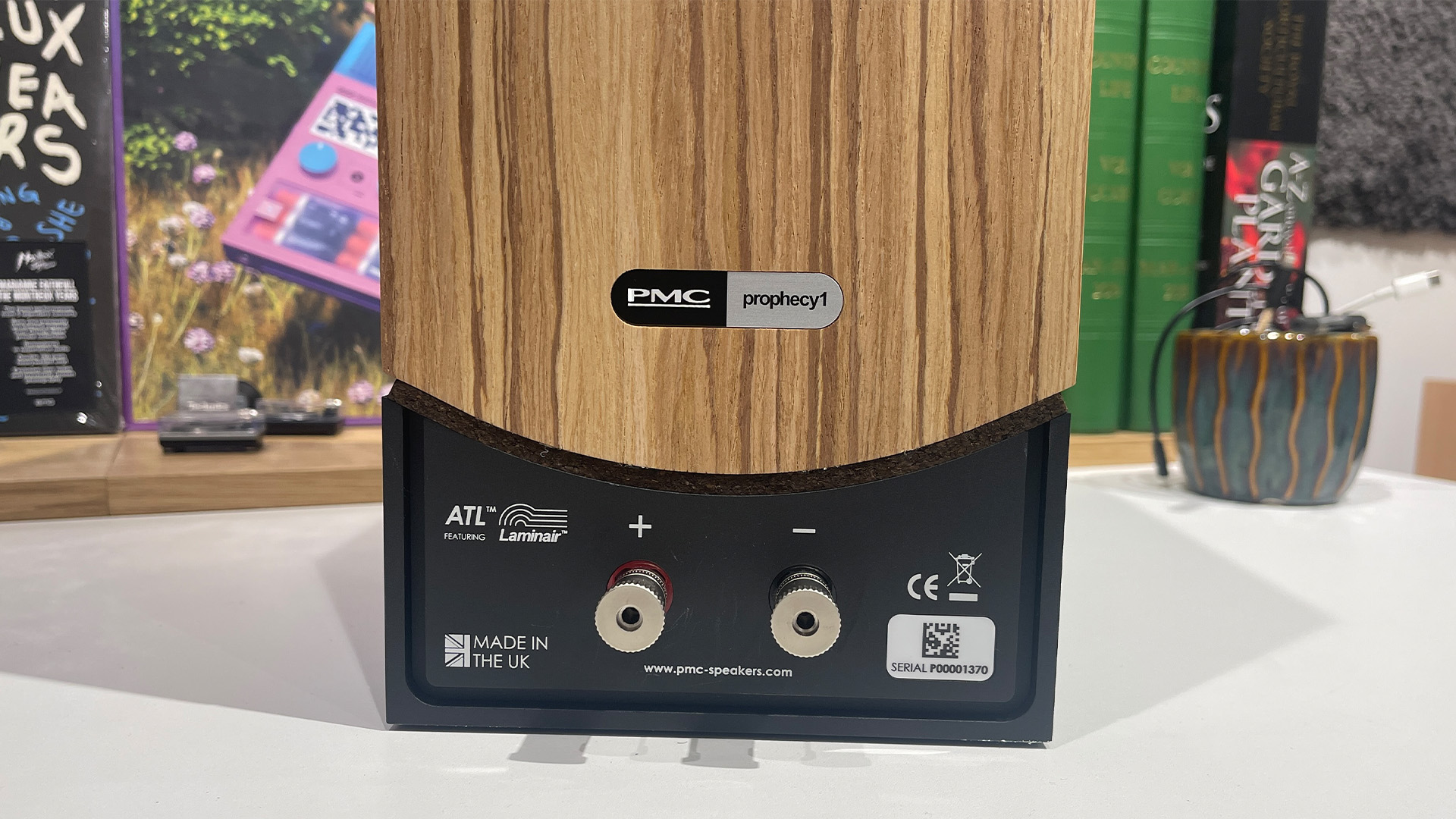 PMC Prophecy 1 standmount speakers rear of speaker showing binding posts