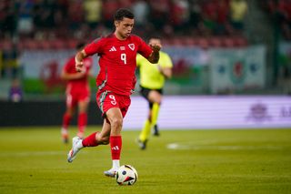 Wales forward Brennan Johnson