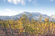 mallorca travel guide