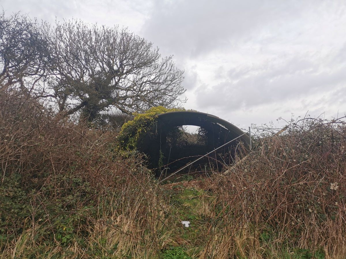 A aluminium shelter covered in weeds
