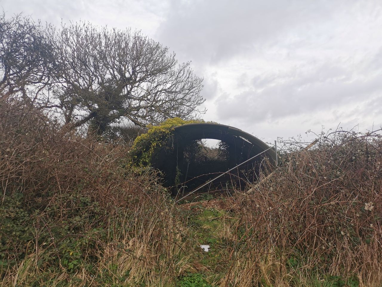 A aluminium shelter covered in weeds