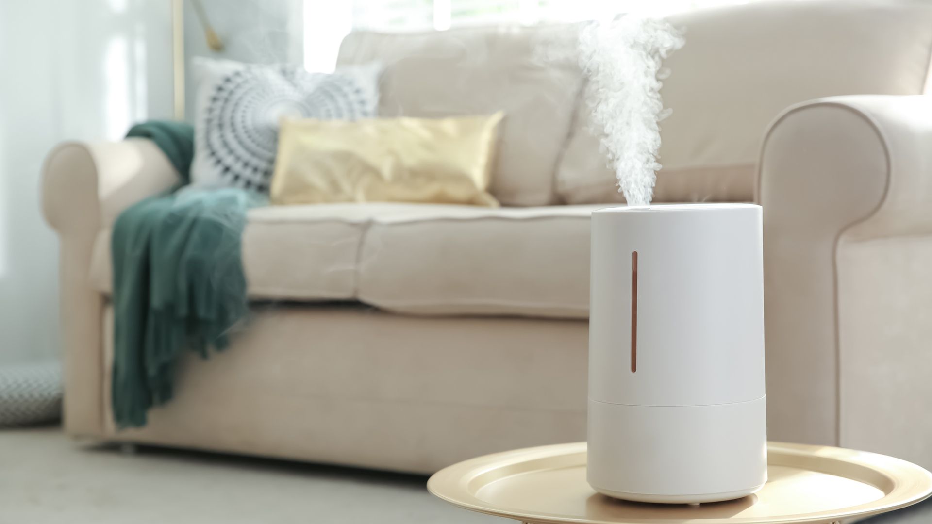Do humidifiers help with congestion? Live Science