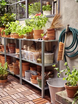 plant pots stored on metal shelves beneath a window
