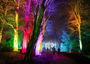 Christmas light trails 2020: Festive Trails, Bedgebury