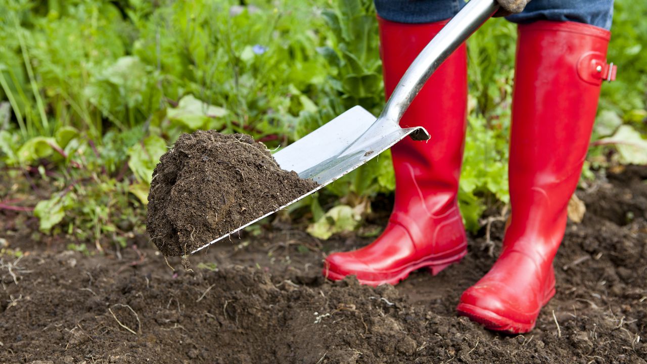 Gardener in red boots working the soil in the veg plot