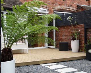 modern deck with tree fern and planters