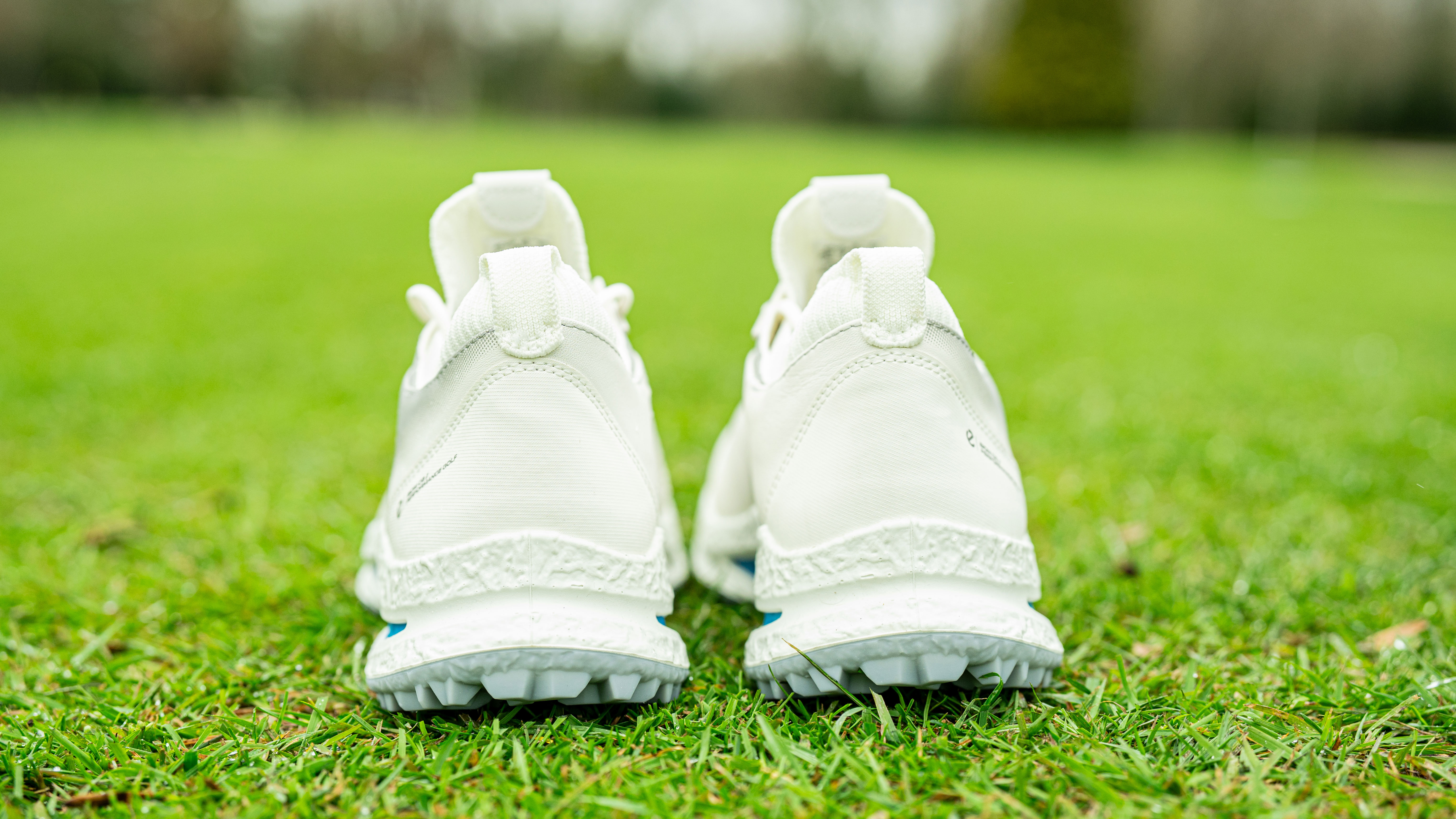 Ecco Biom C5 Golf Shoe Review