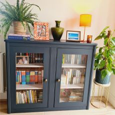 bookcase with wooden flooring and plants