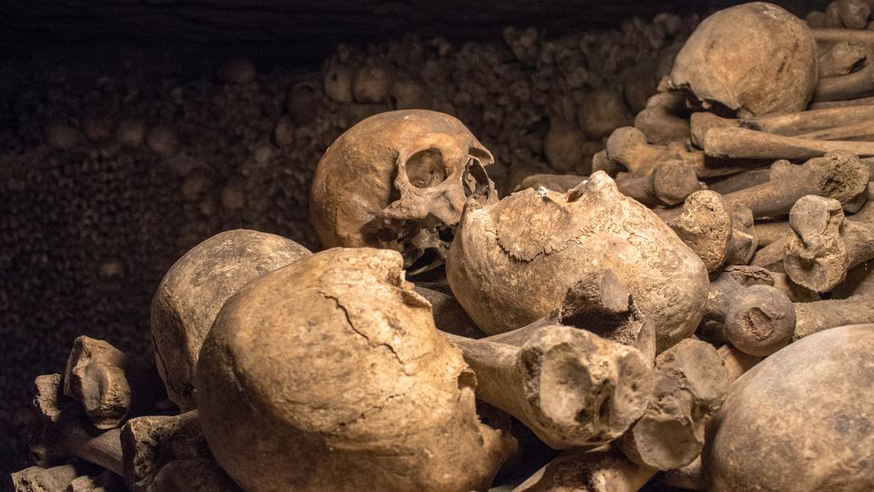 Looted skulls and human remains are being sold in black markets on Facebook