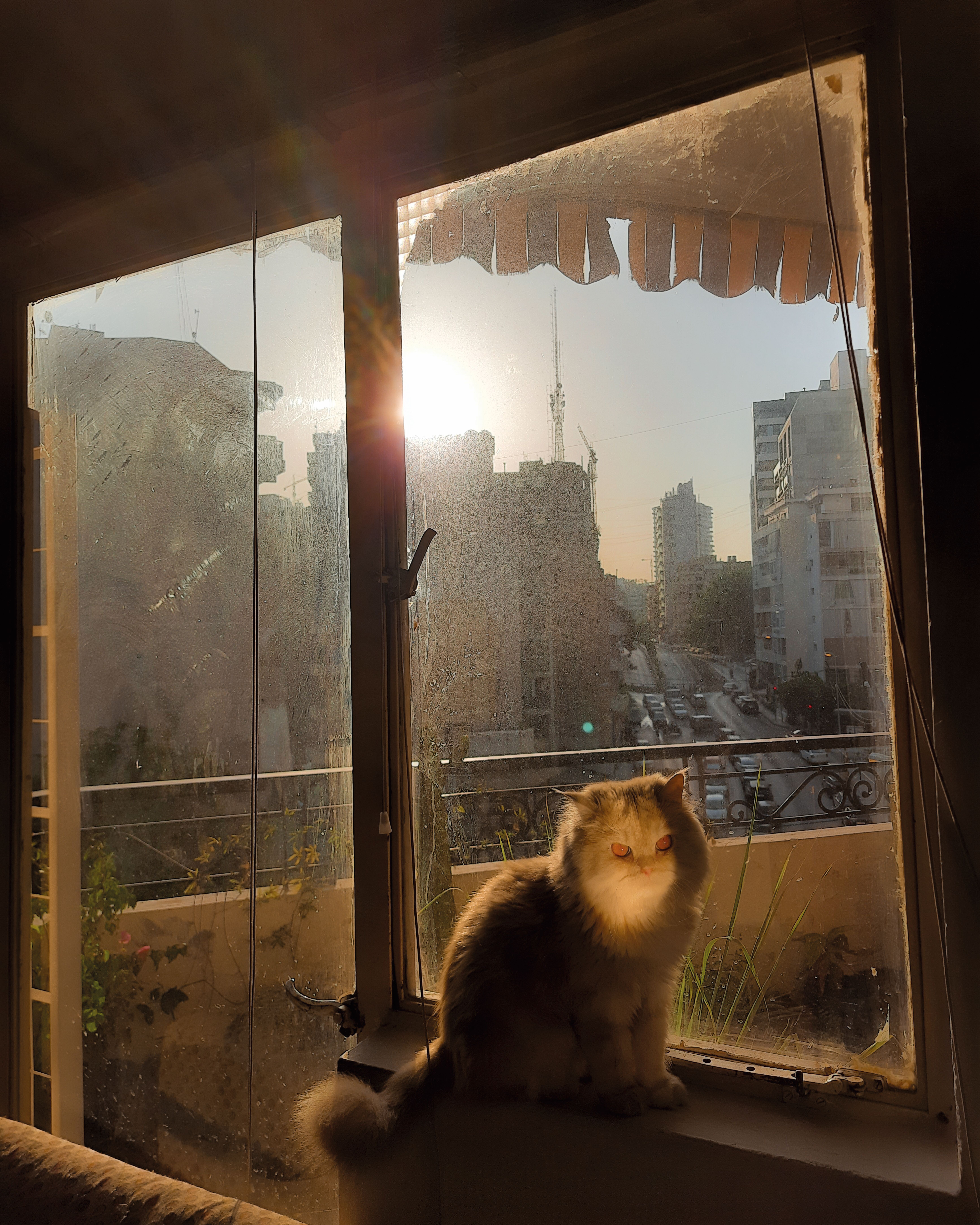 not here not there photography book charbel alkhoury