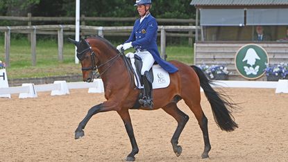 Carl Hester and Fame at Wellington CDI3* 2025
