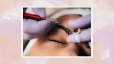 A close up of someone getting their eyebrows microbladed, with the brow artist wearing purple gloved and holding the microblading tool above the clients brow/ in a pink and pastel pink watercolour-style template