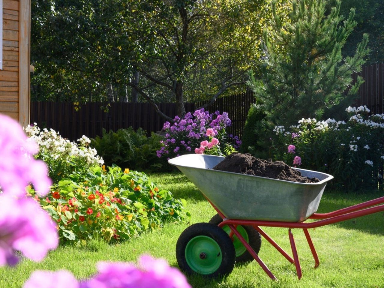 A wheel barrow of compost near a flower bed