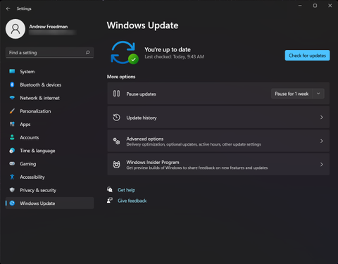 next windows 10 pro insider preview update