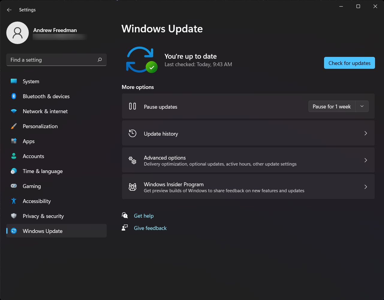 Turn off Windows 11 Preview Builds