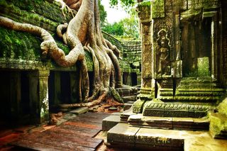 Ta Prohm, Angkor Wat. Image: Stewart Atkins (visualSA), Getty Images
