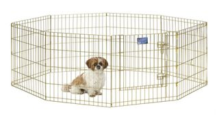 MidWest Foldable Metal Dog Exercise playpen