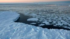 Global warming impact on Australian Antarctic territory