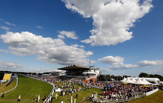 goodwood racecourse brawl