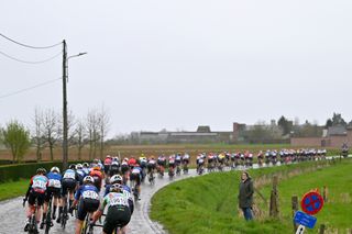 OUDENAARDE, BELGIUM - MARCH 31: A general view of the peloton competing during the 21st Ronde van Vlaanderen - Tour des Flandres 2024 - Women's Elite a 163km one day race from Oudenaarde to Oudenaarde / #UCIWWT / on March 31, 2024 in Oudenaarde, Belgium. (Photo by Luc Claessen/Getty Images)