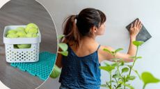 L-a basket of tennis balls on a floor, R- A woman cleaning her walls
