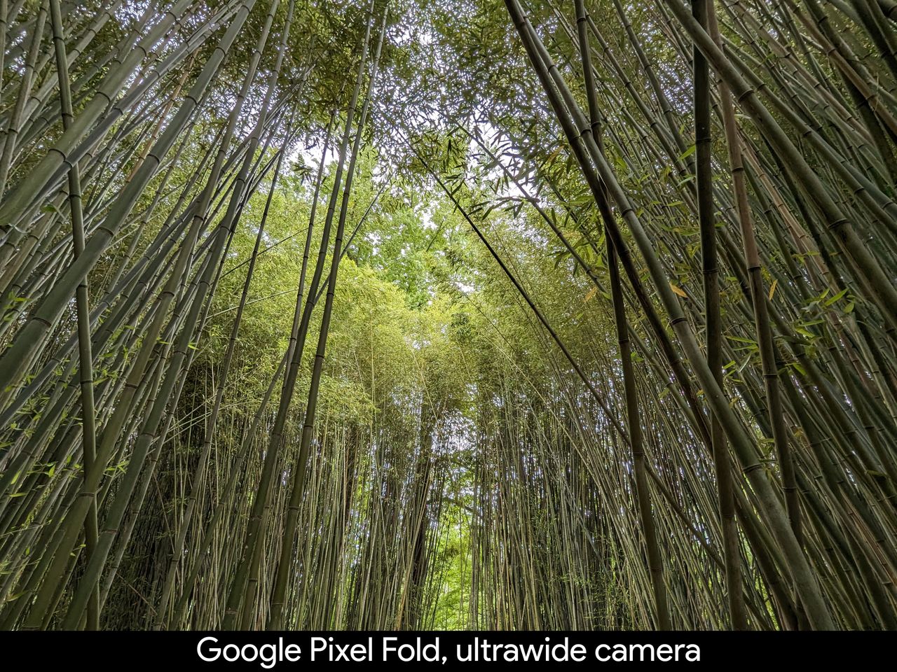 Camera samples for the Google Pixel Fold review