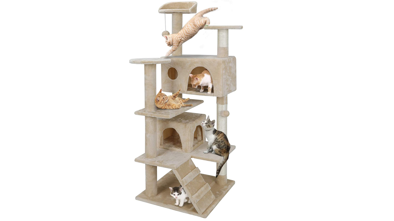 Best kitten toys: The top playthings for your new cat | PetsRadar