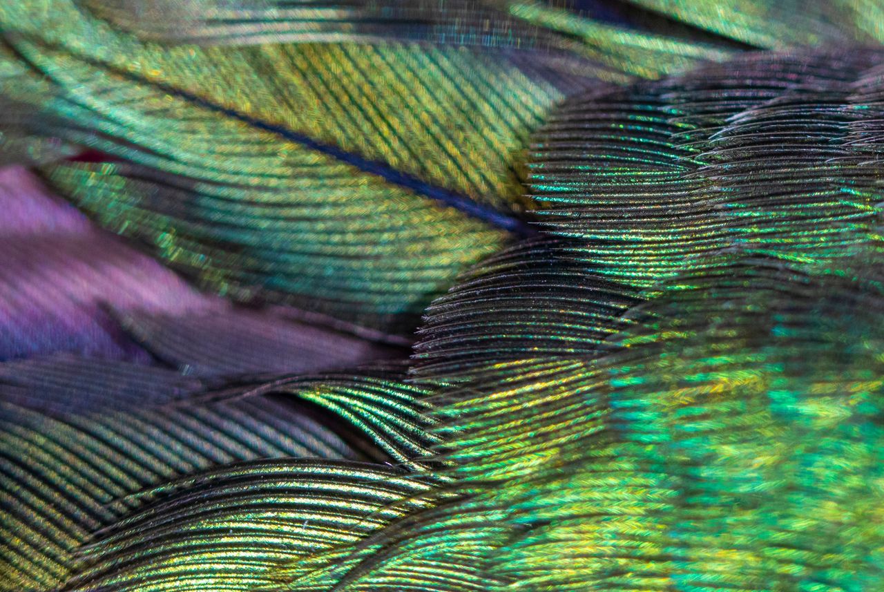 The process of creating the abalone marquetry