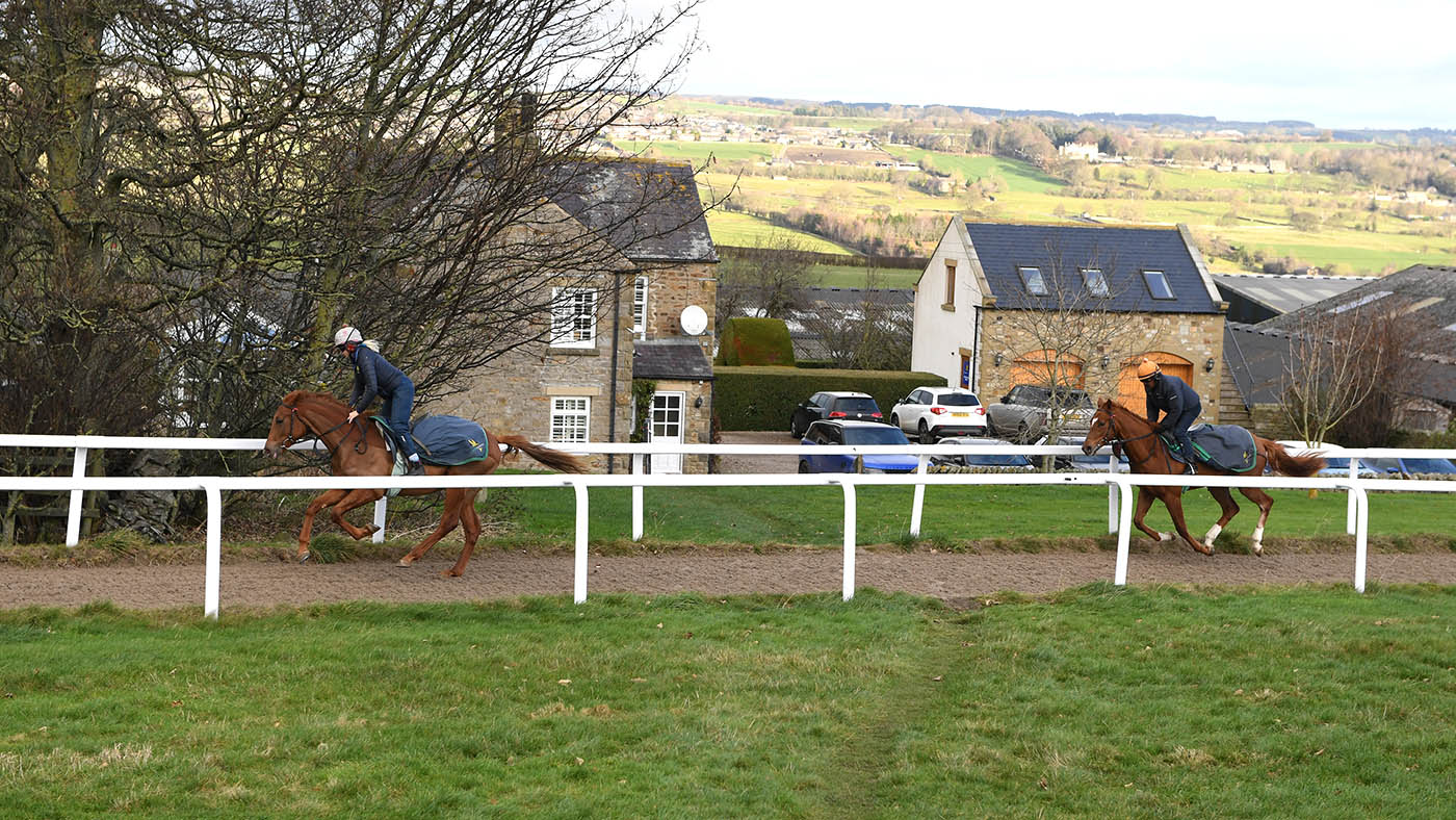 Mark Johnston racing yard 15.12.21