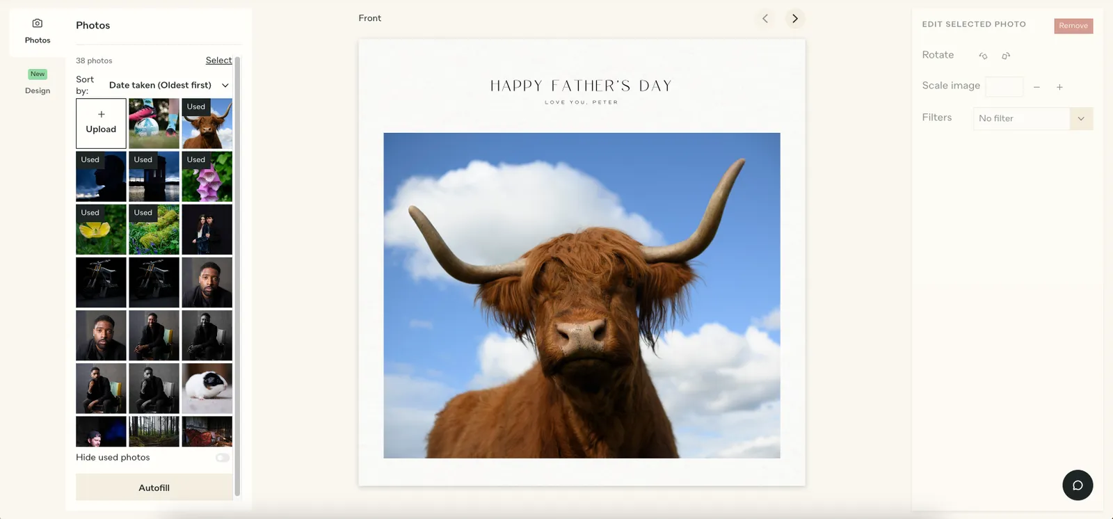 A photo book cover featuring a highland cow and a caption reading 'Happy Father's Day'.