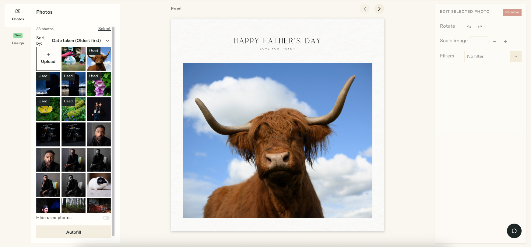 A photo book cover featuring a highland cow and a caption reading 'Happy Father's Day'.
