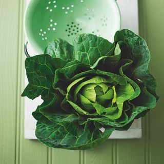 Fresh lettuce next to colander