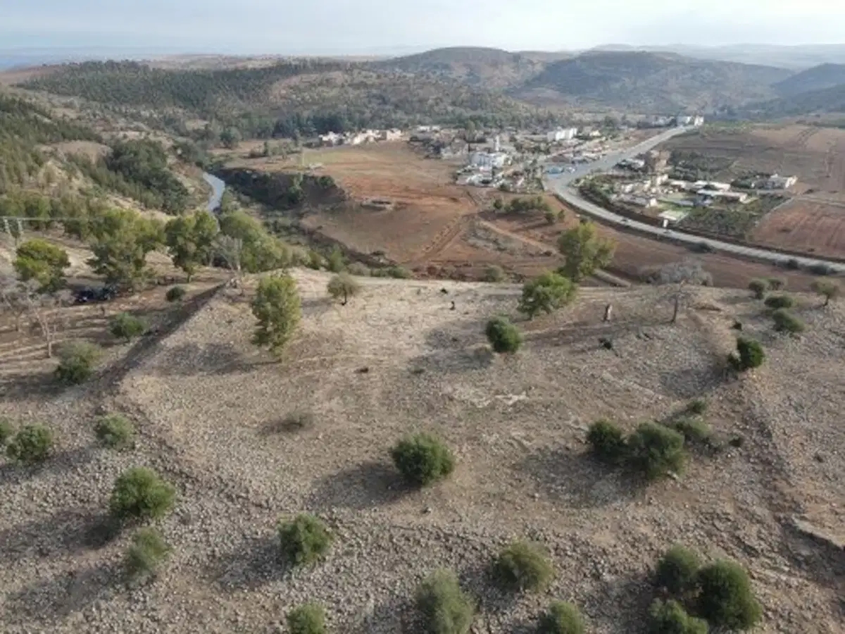 Aerial views of two hills with trees on them.