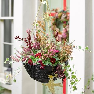 Christmas hanging basket with heather, ivy, pansies and decorations