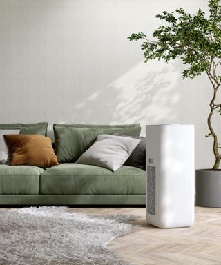 A living room with a pale green sofa and a white dehumidifier next to it