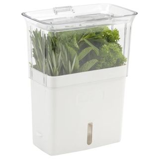 Walmart herb container