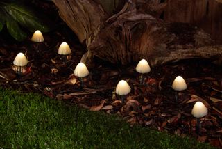 Forest solar mushrooms, set of 12