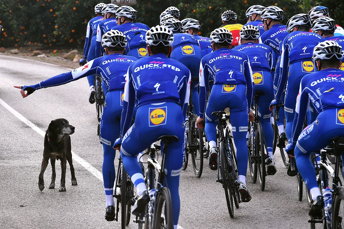 The 2017 Quick-Step Floors team trains in Calpe