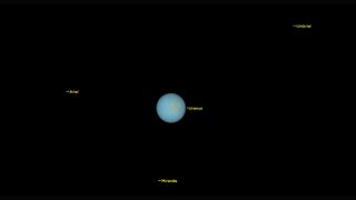 The blue planet Uranus is seen in the darkness of space with labeled moons Miranda and Ariel nearby