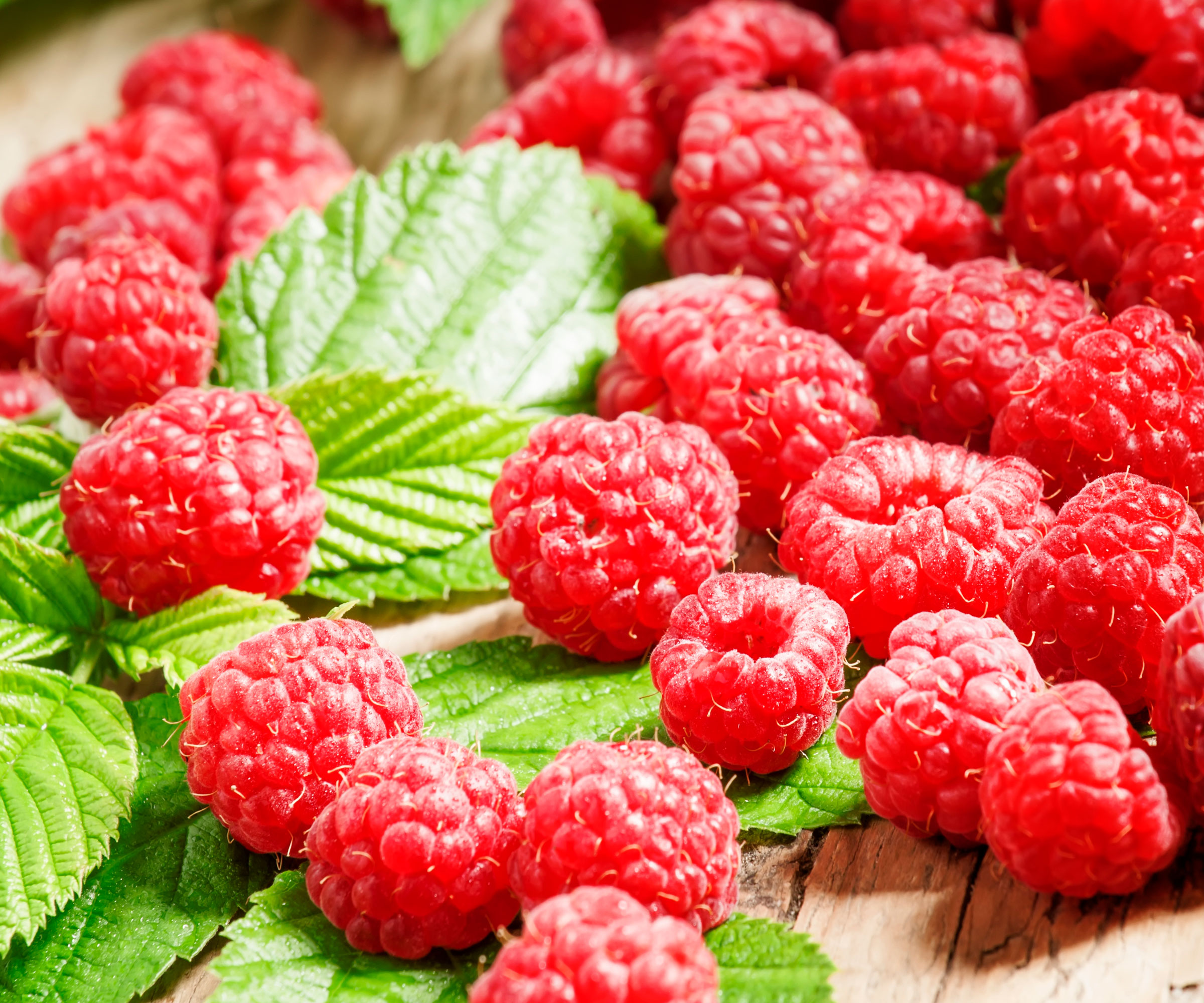 red raspberry fruits and bright green leaves on wooden table