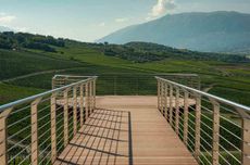 View-at-Zaccagnini-winery.jpg